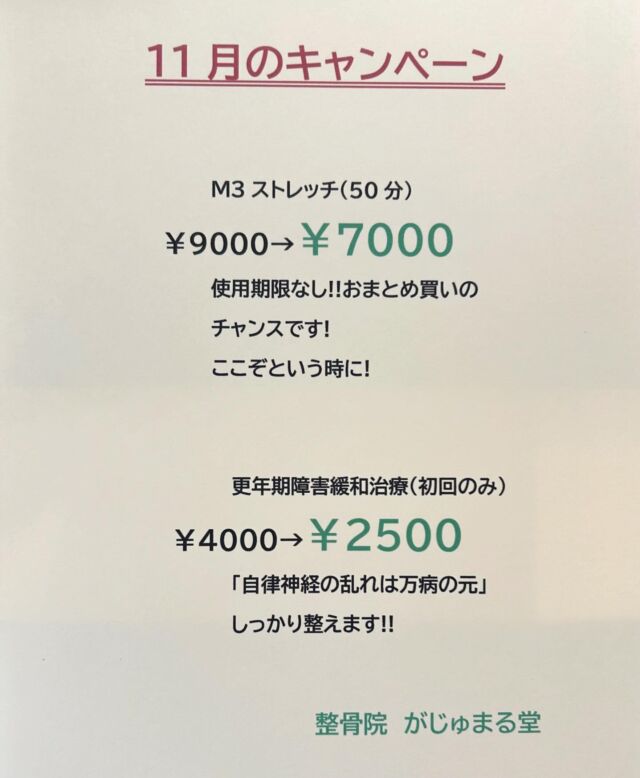 がじゅまる堂